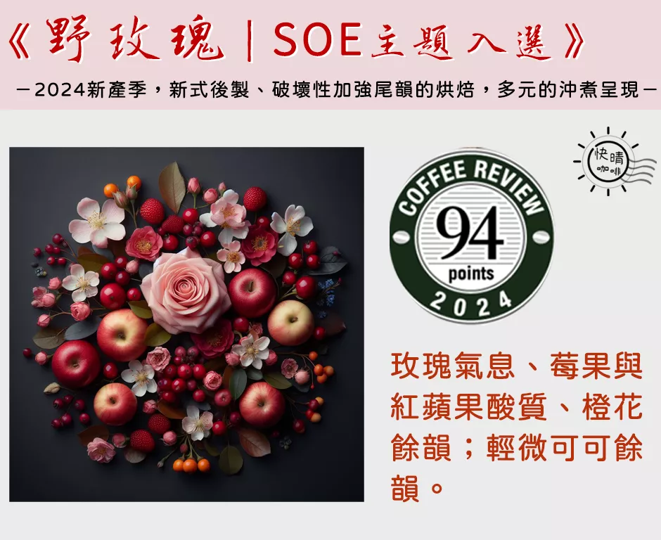CR 94 快晴咖啡事務所 Balmy Day Coffee Office - Ethiopia Anaerobic Washed G1 Wild Rose S.O. Sidamo