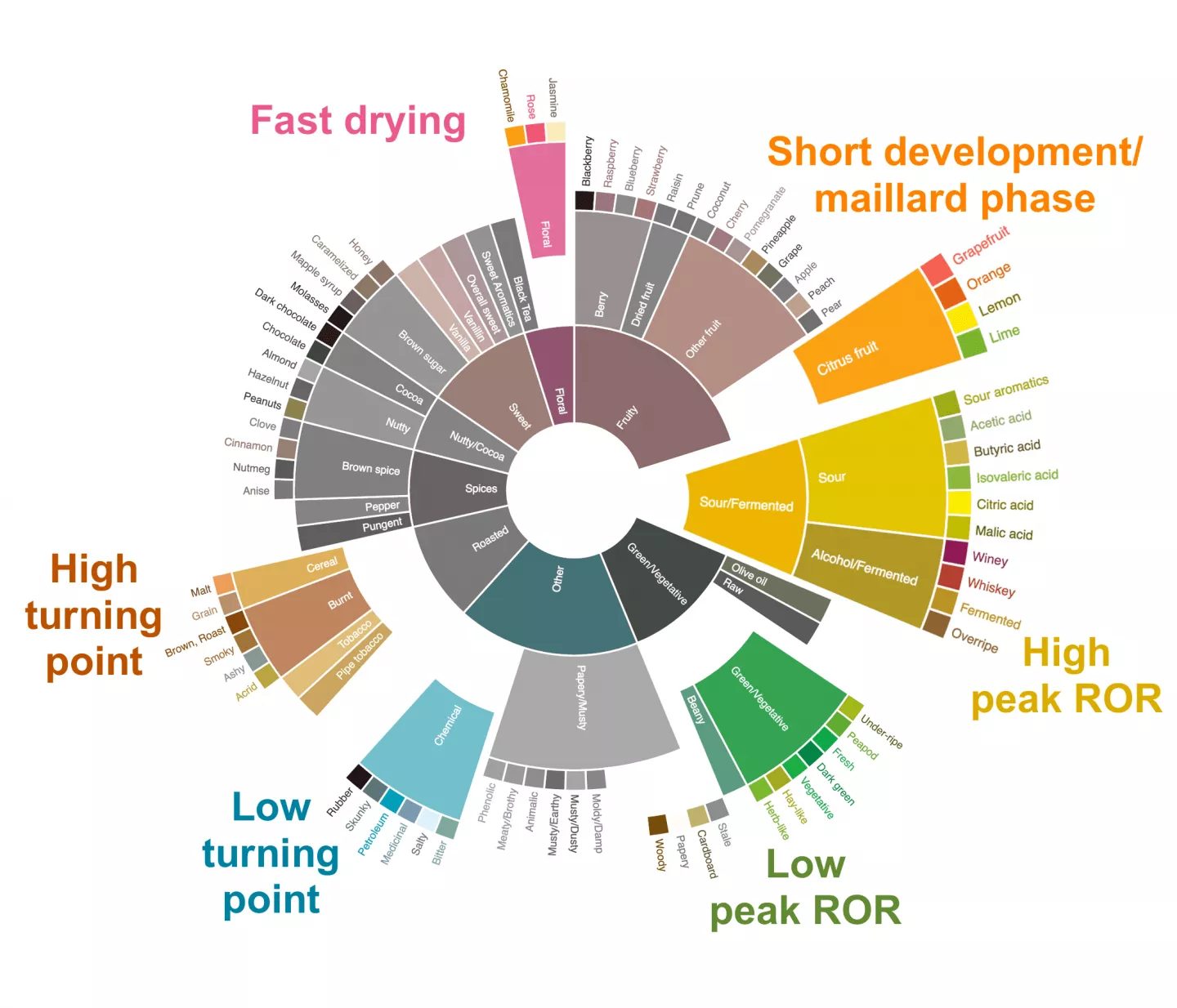 flavor wheel